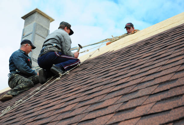Roof Gutter Cleaning in Westwood, CA